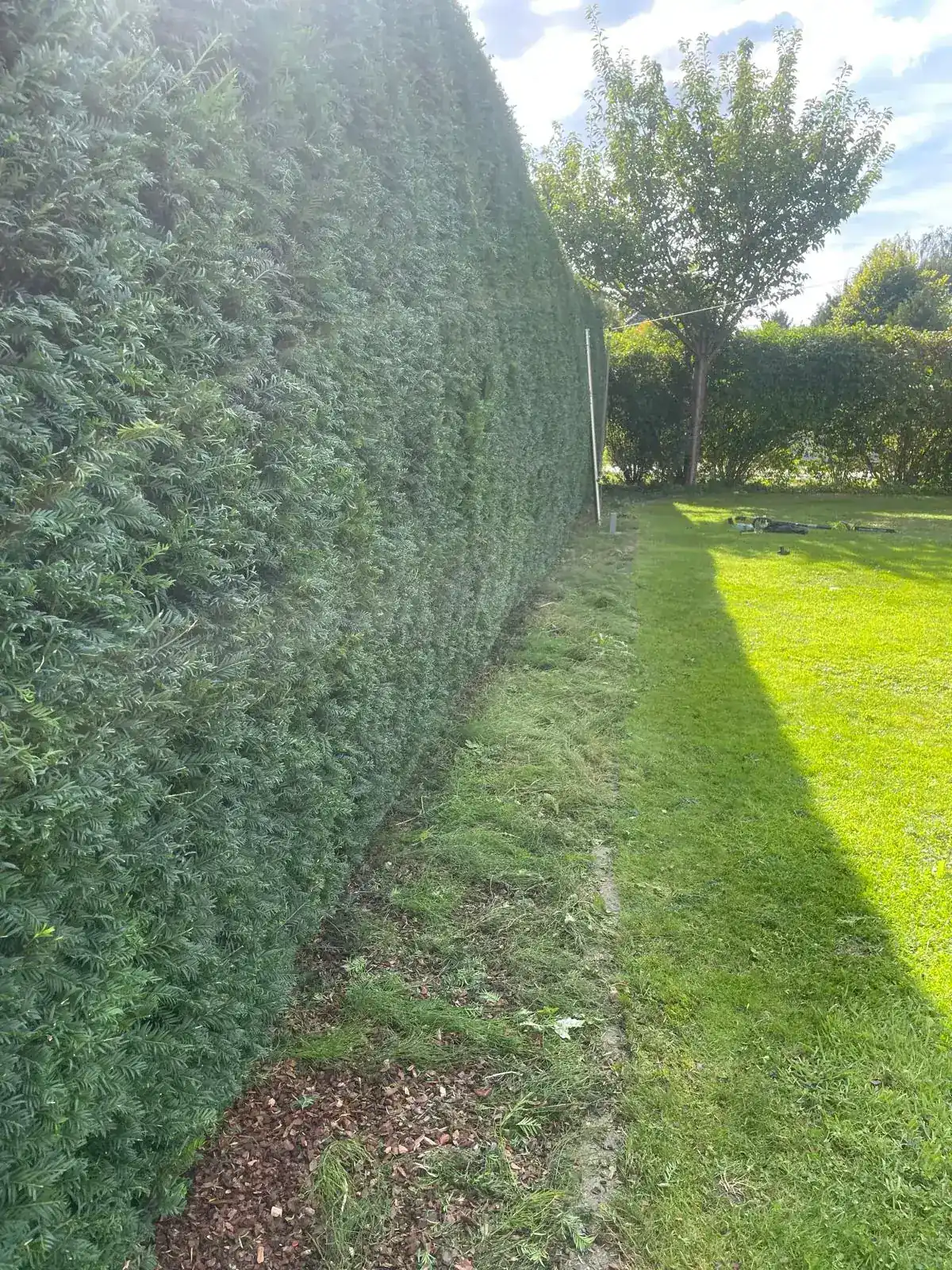 Hecke nach dem Schnitt mit geraden Kanten